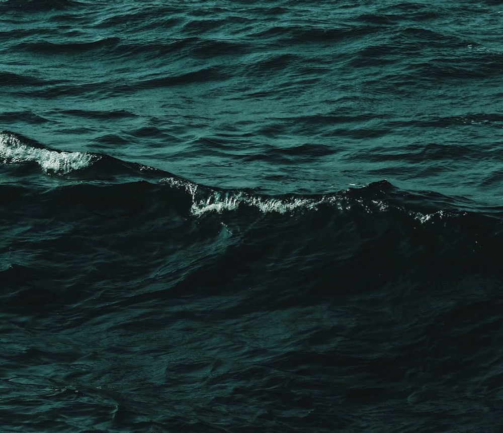 Green sea peel
