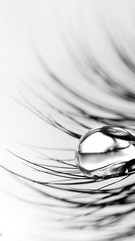 Lash Extention Removal