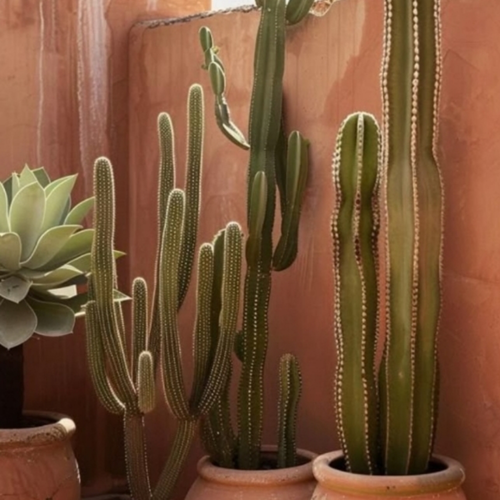 Before Or Ater Business Hours