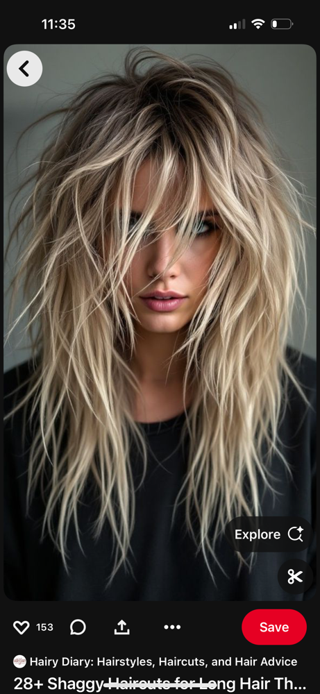 Haircut Shampoo & Style