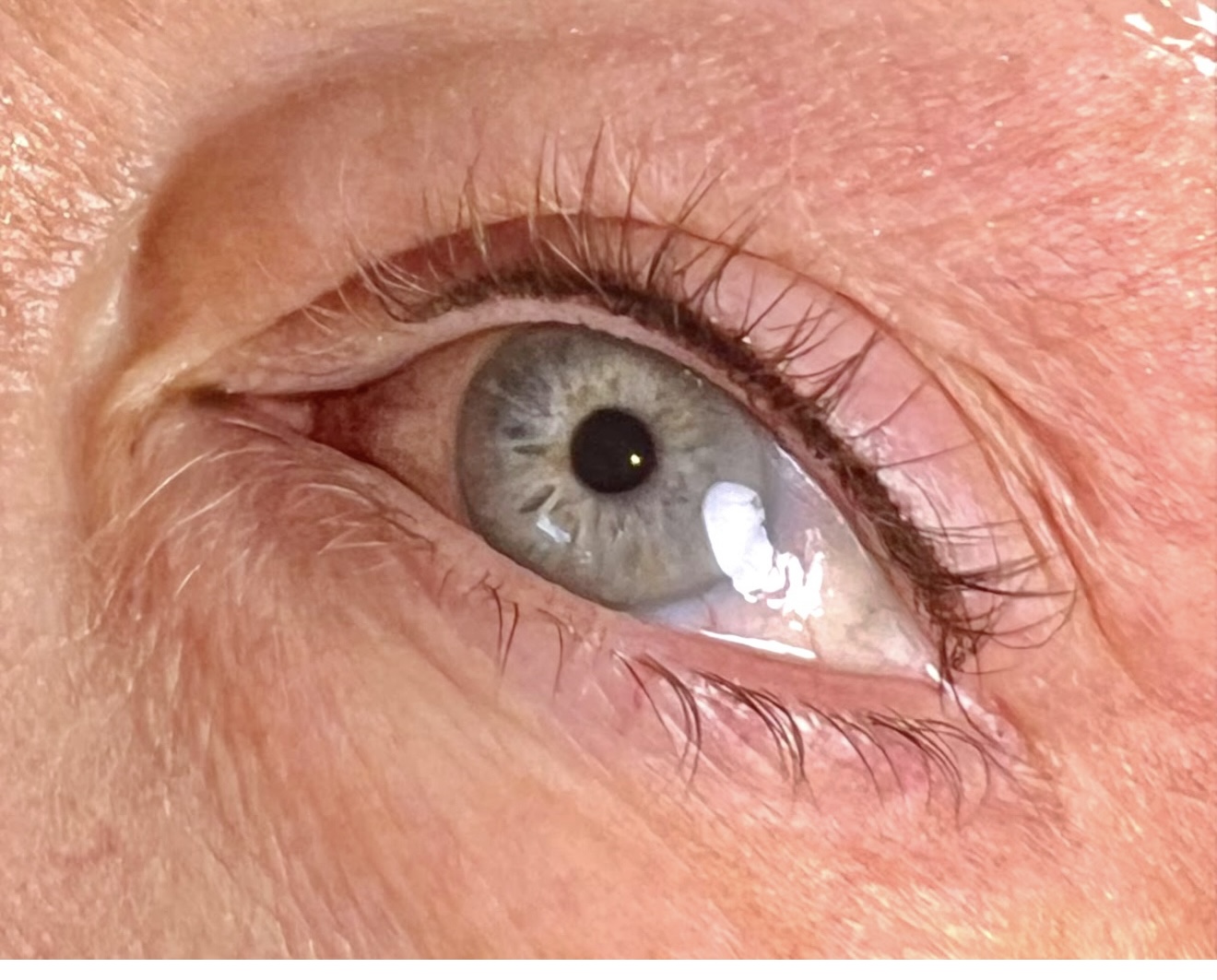 LASH-LINE COLOR BOOST (2+ years)