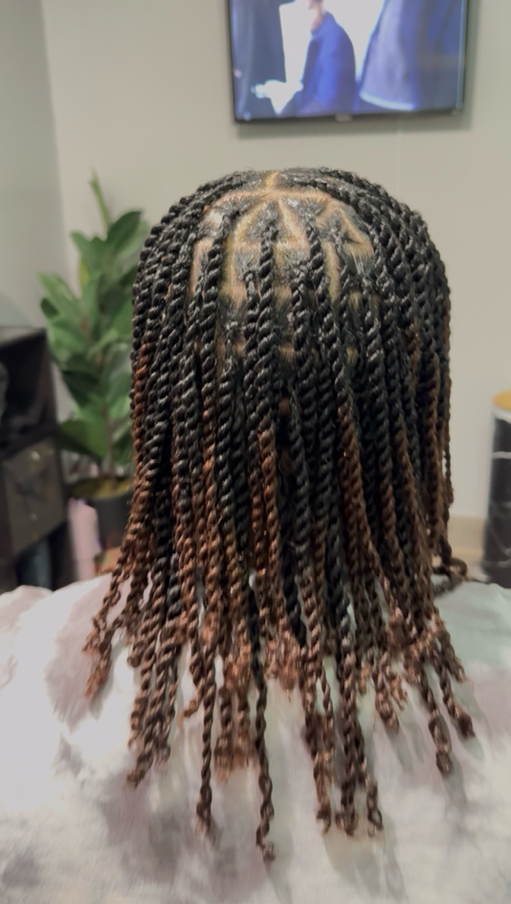 Mini Twists
