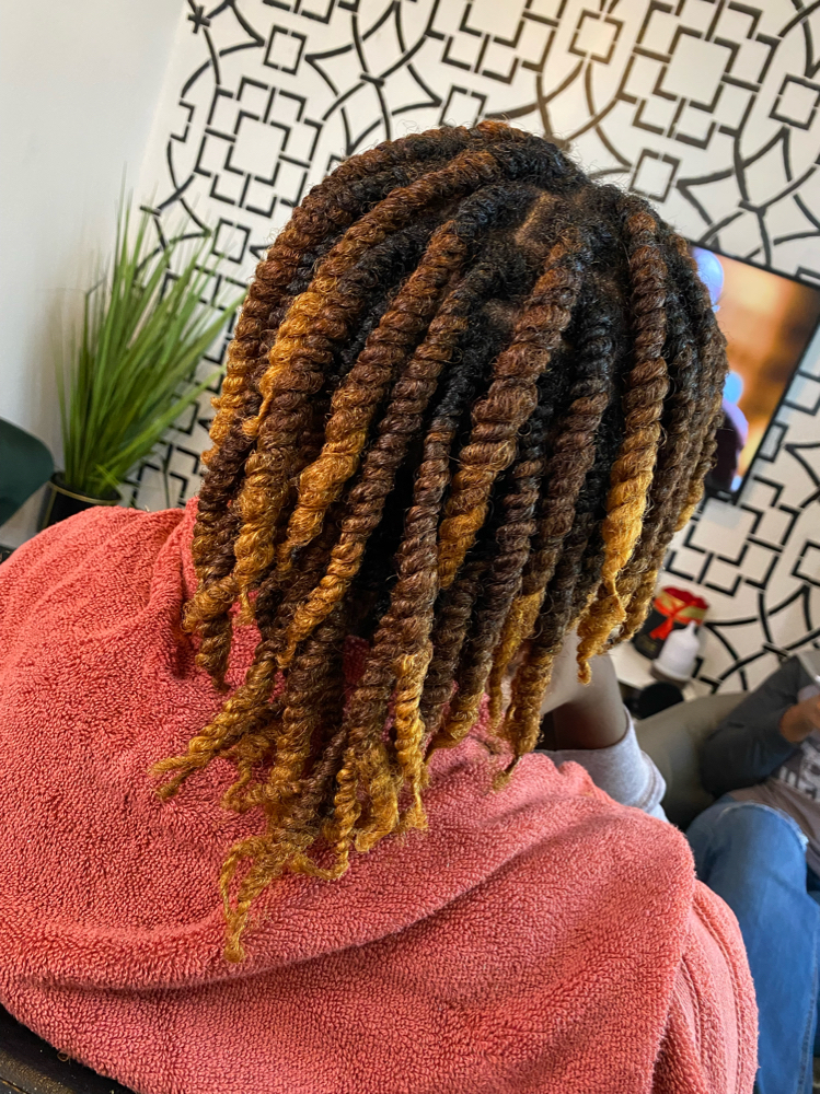 Two Strand Twist (Mohawk Only)