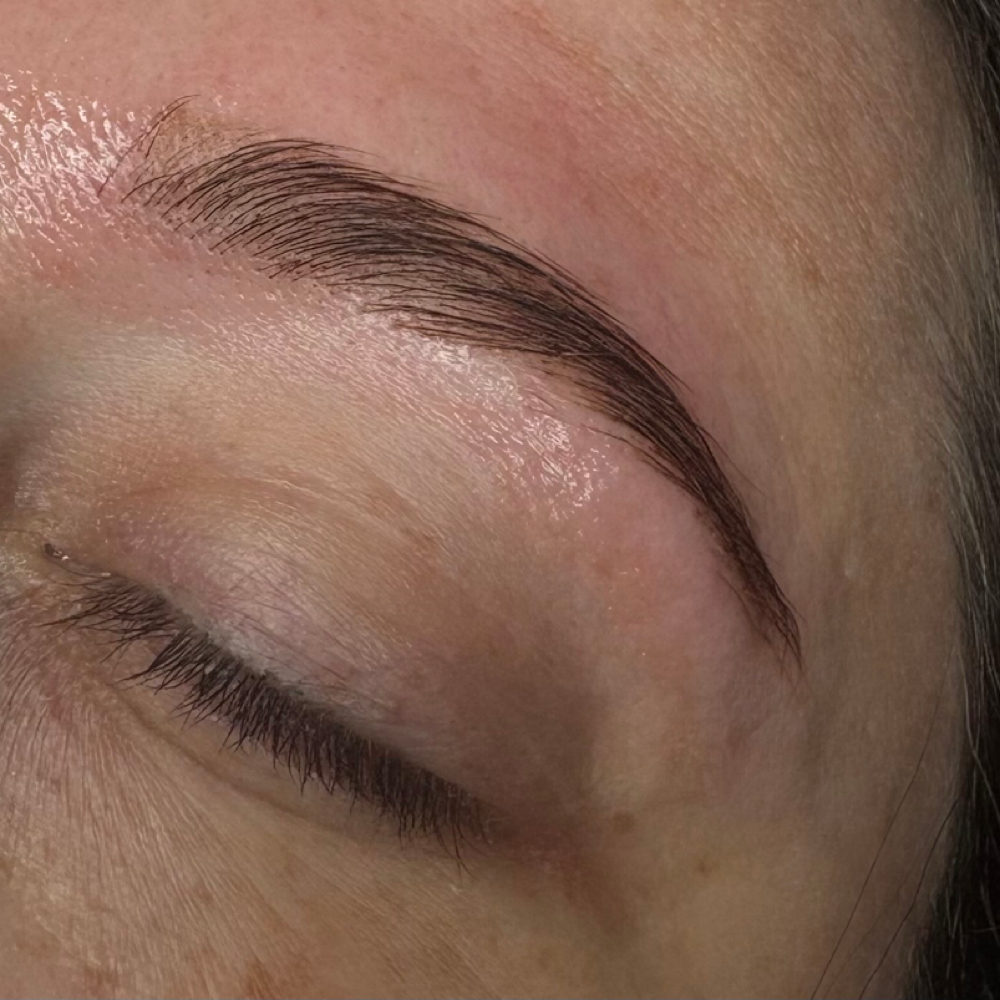 Brow Lamination + Tint at Rooted Beauty in Clarion, PA