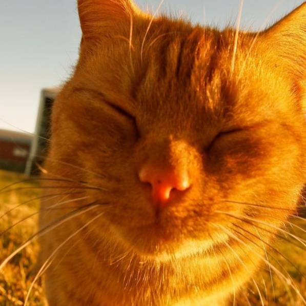 Sensitive Facial (90 Min)