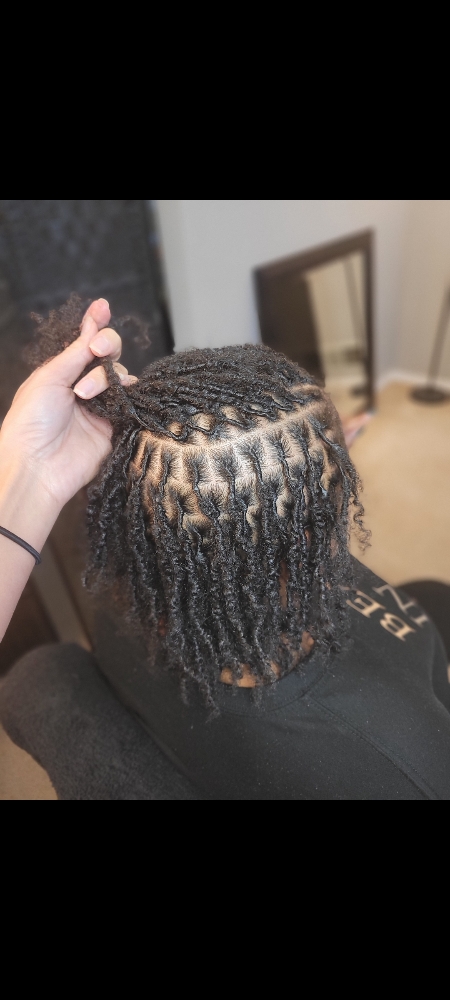 Starter Locs (2 Strand Method)
