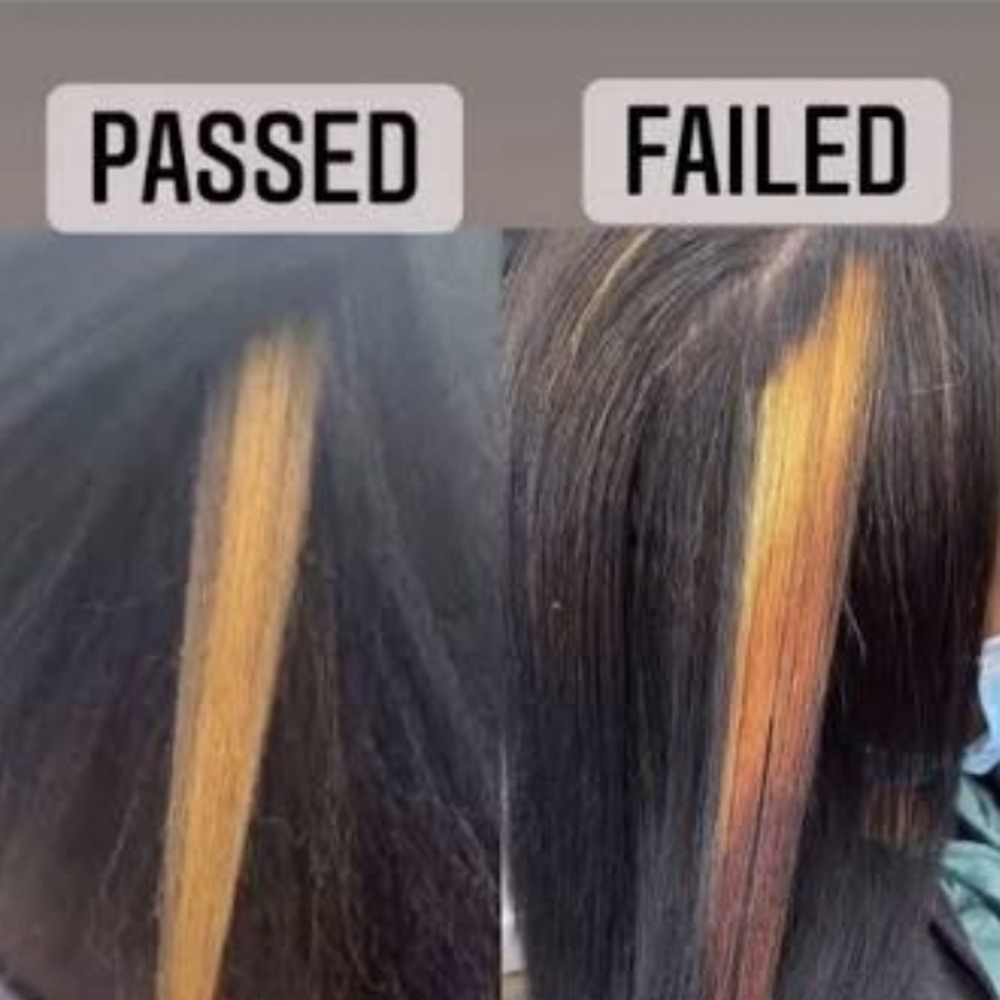 Color Strand Test at Divine Design Studio in Stone Park, IL