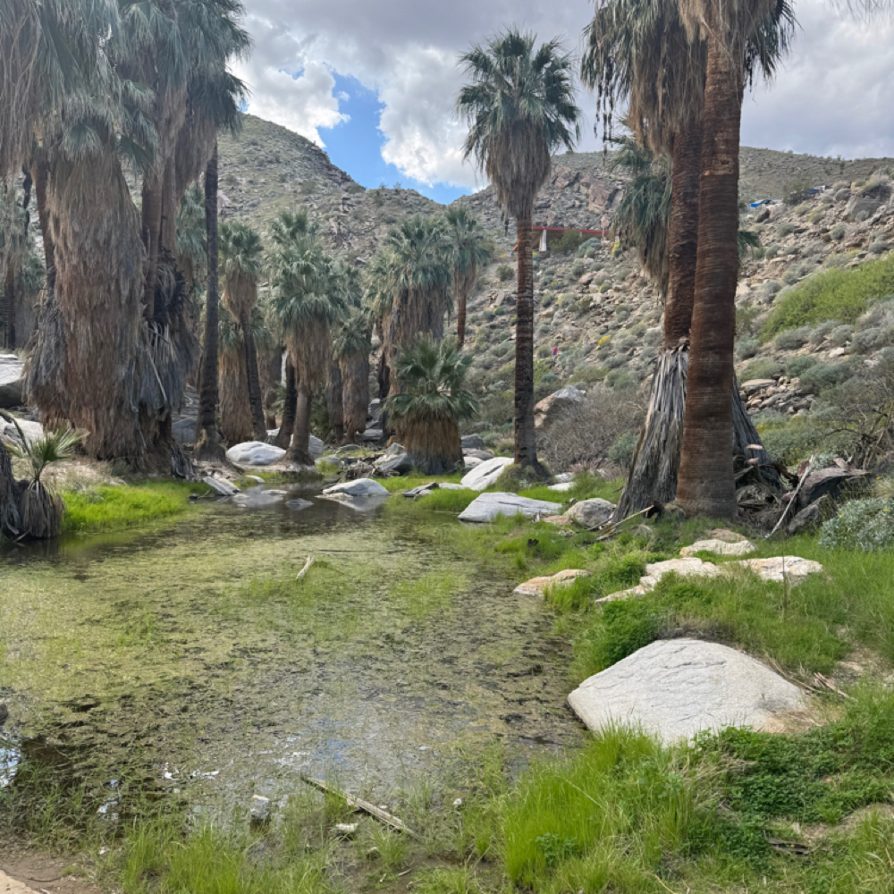 Hair Extension Consultation at Indigo Salon @ Beaumont in Lexington, KY