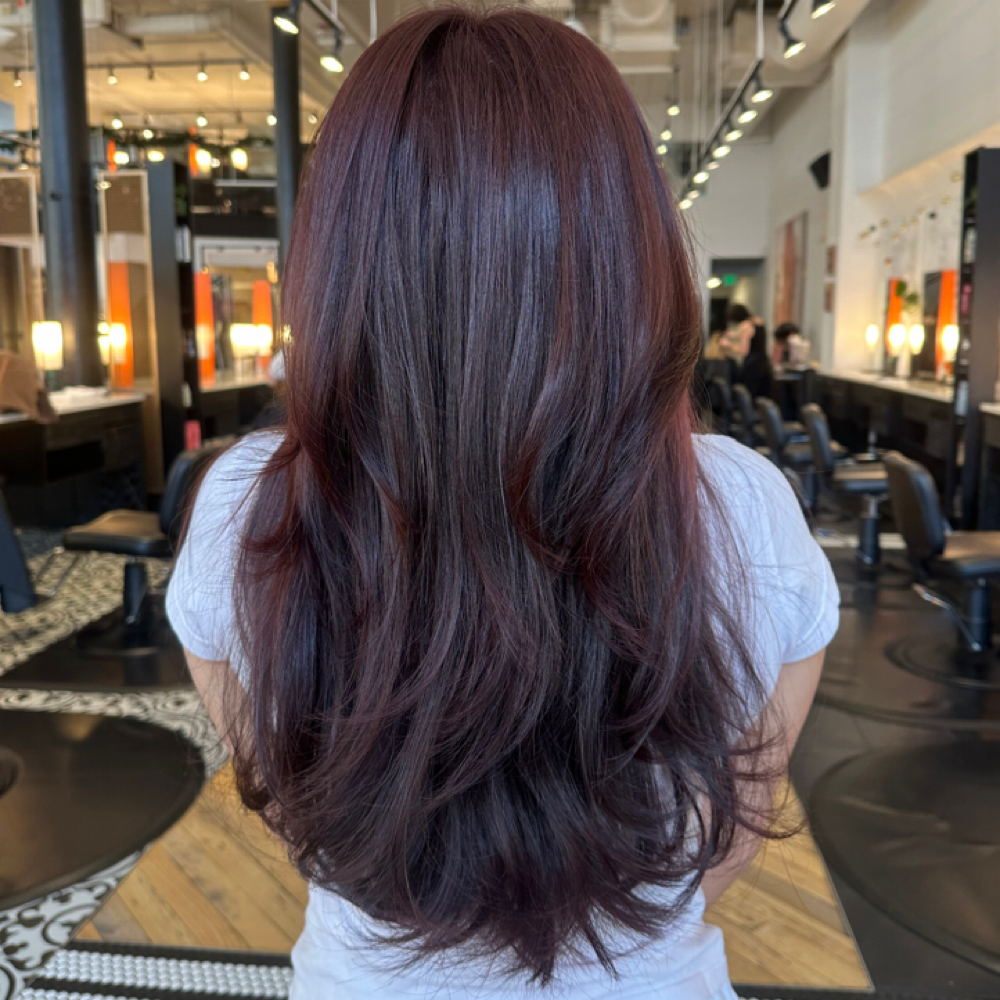 Single Process at Morigami Hair Studio in Seattle, WA