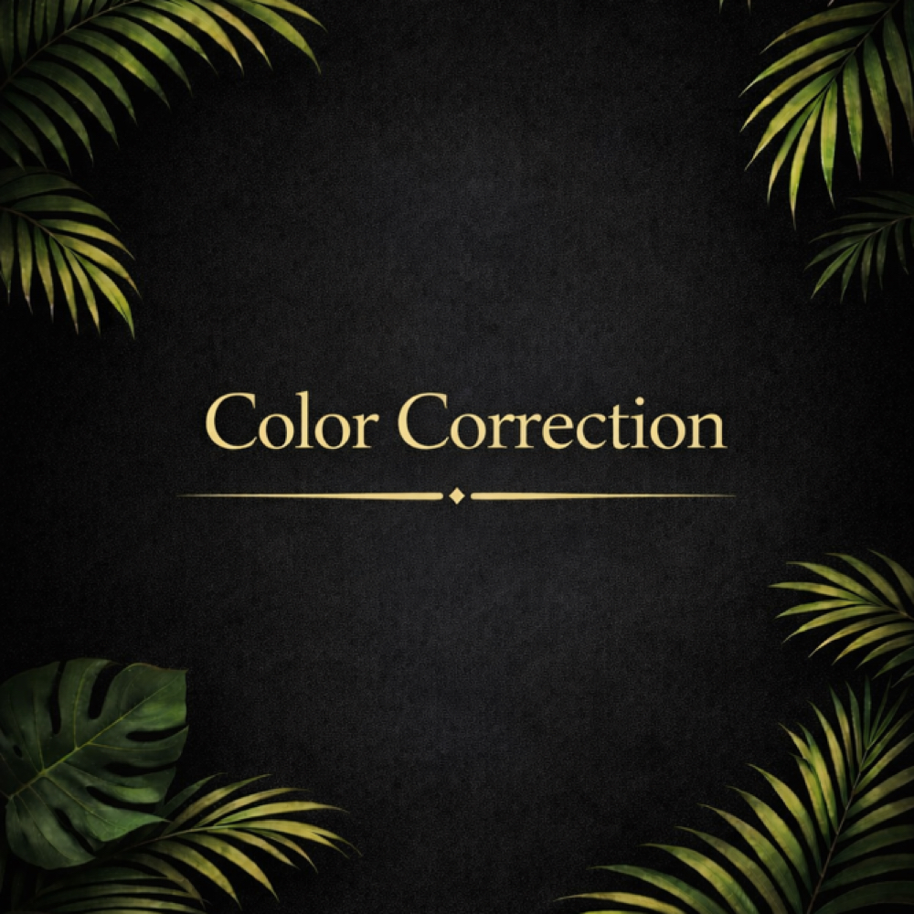 Color Correction at Elevated Beauty LLC in Roanoke, VA