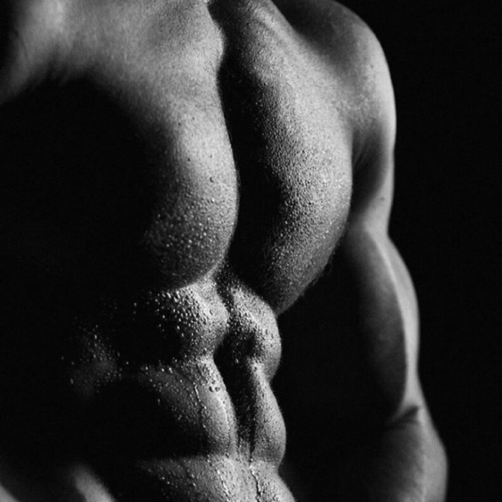 Muscle Builder at Monica LoVerdi, NP-C in Beaumont, TX