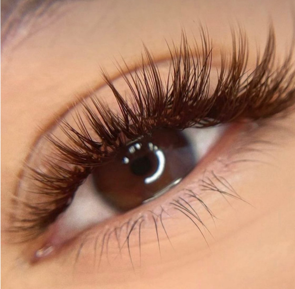 Espresso Brown Lashes