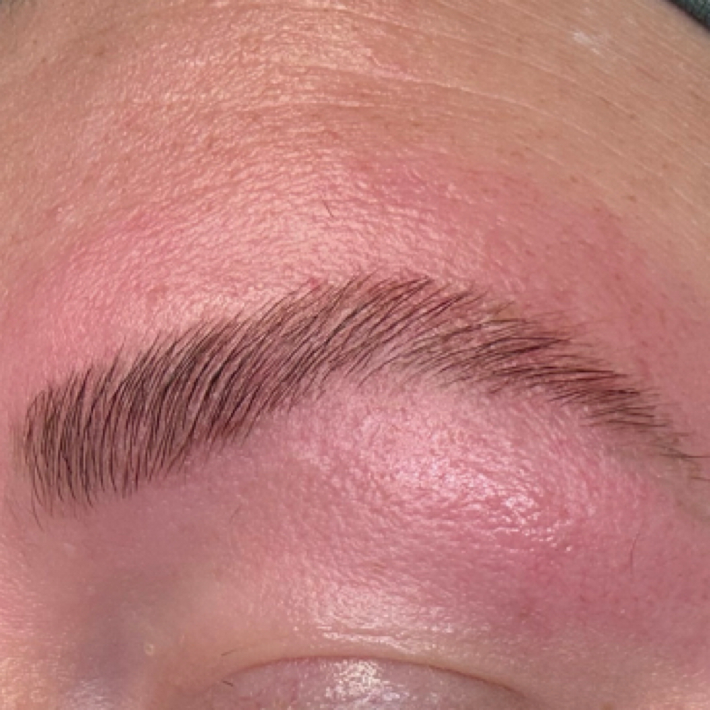 Brow Tint at Soul Oasis Beauty in North Olmsted, OH