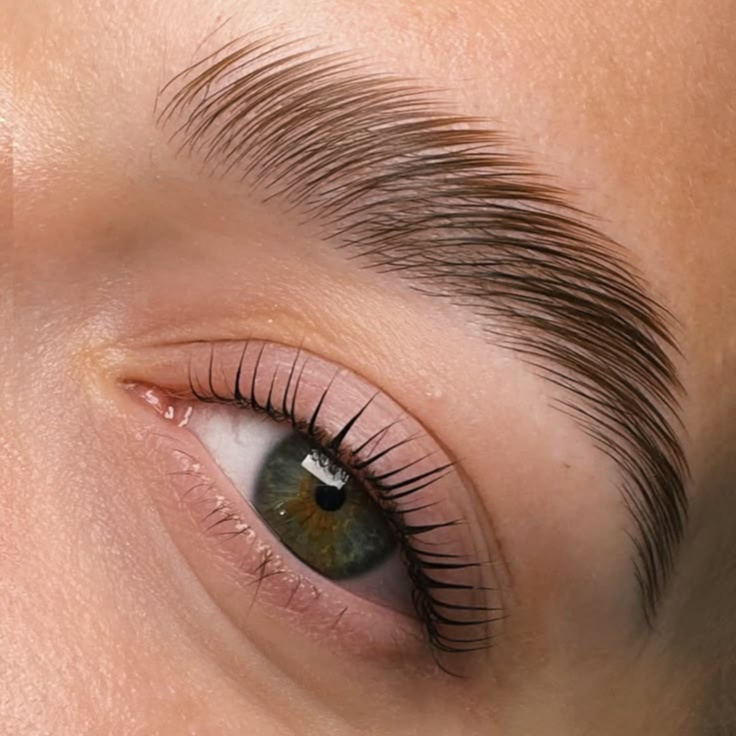 Brow Lamination & Lash Lift Combo at JE Beauty & Spa in duluth, GA