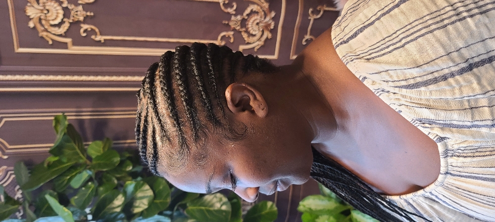 Feed-In Braids