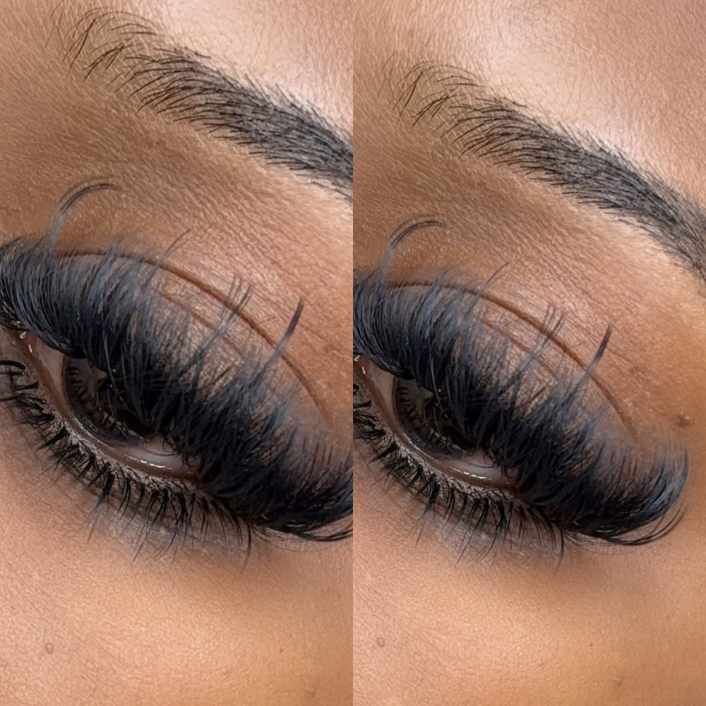 Bottom Lashes