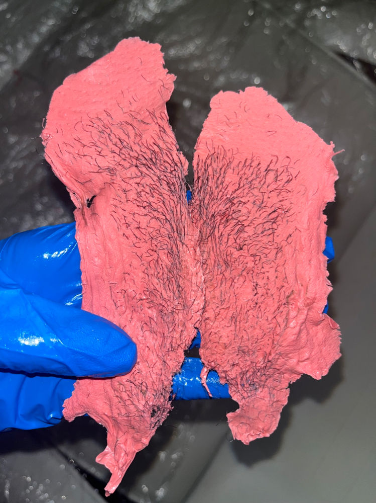 Bikini Wax
