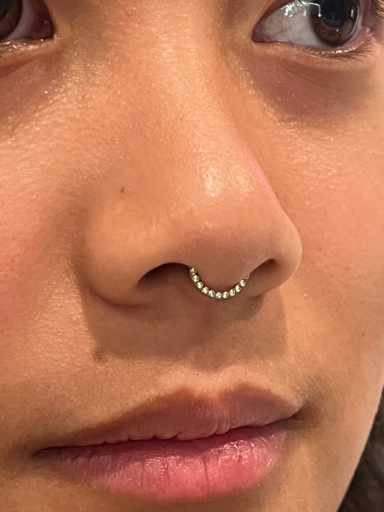 Septum