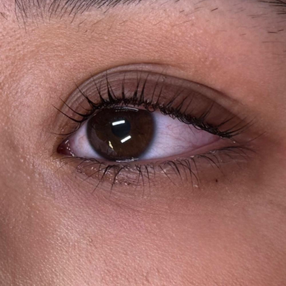 Eyelash Lift And Tint at Gemini_lux in Modesto, CA