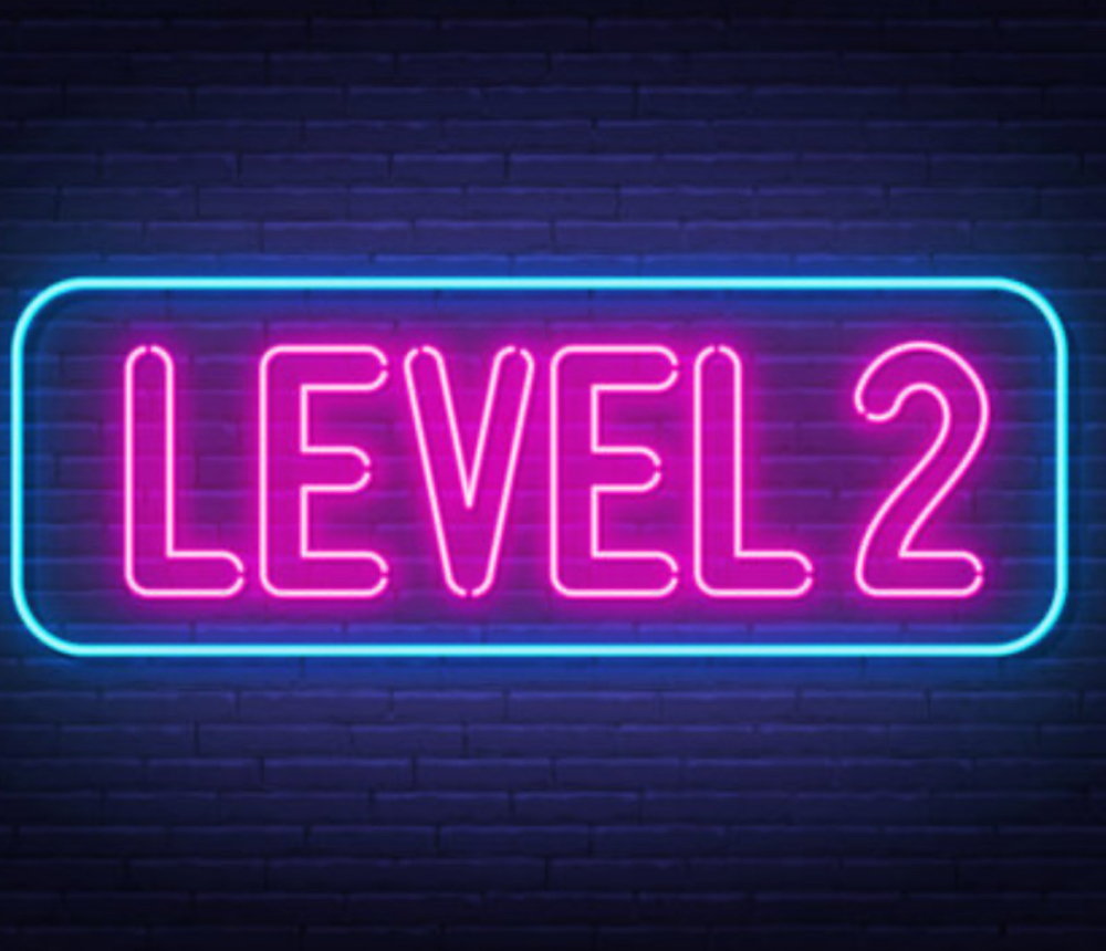 Level Two Designs