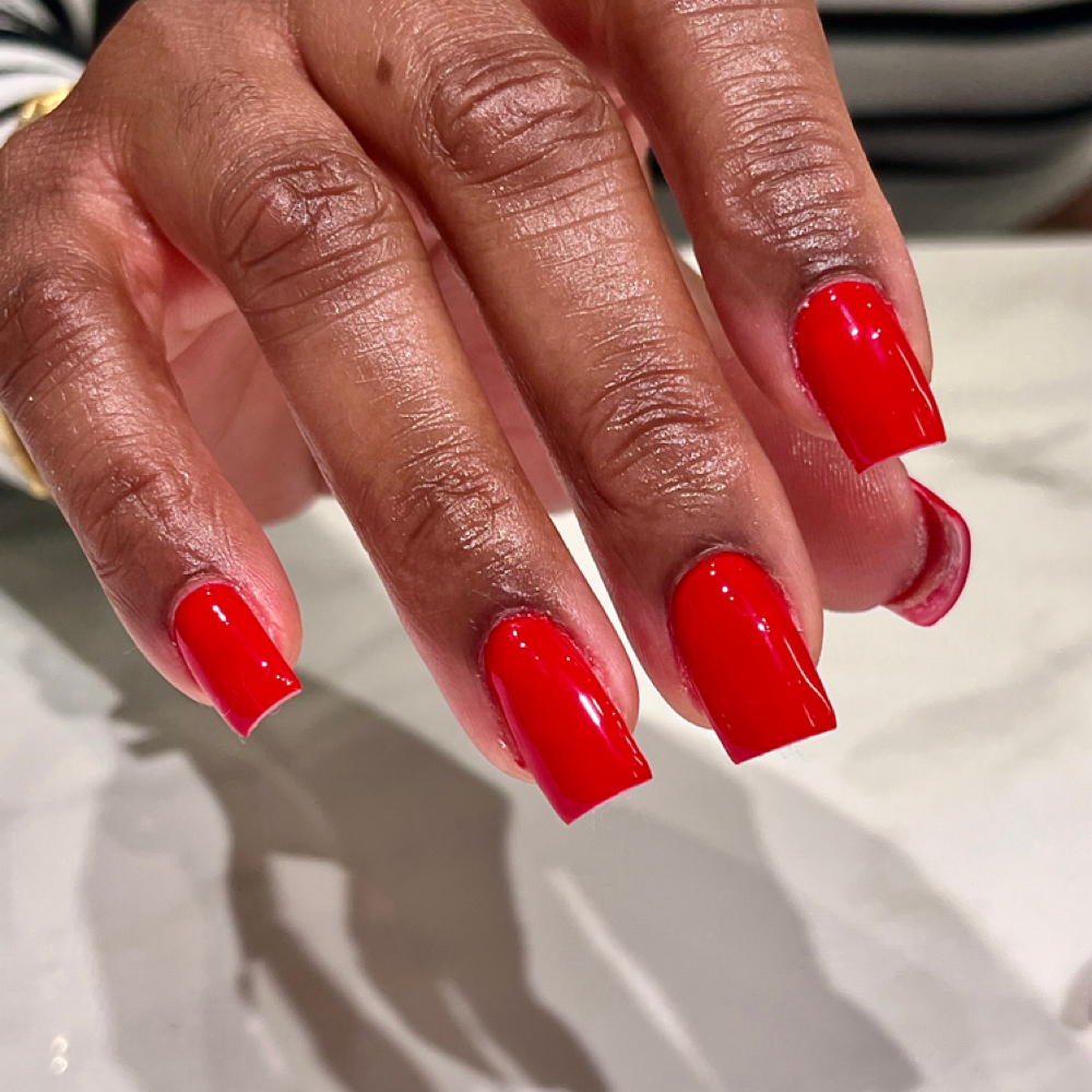 Bare Full Set at Anarchy in Blush Atelier in Ballwin, MO