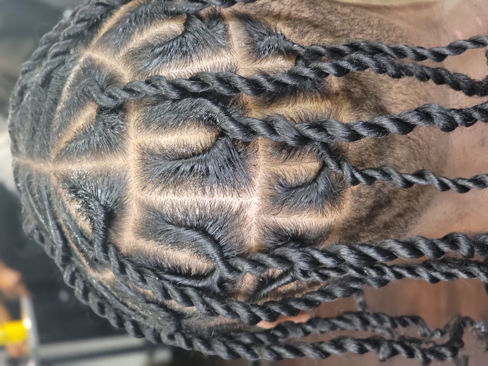Double 2strand Twist/invisible Locs