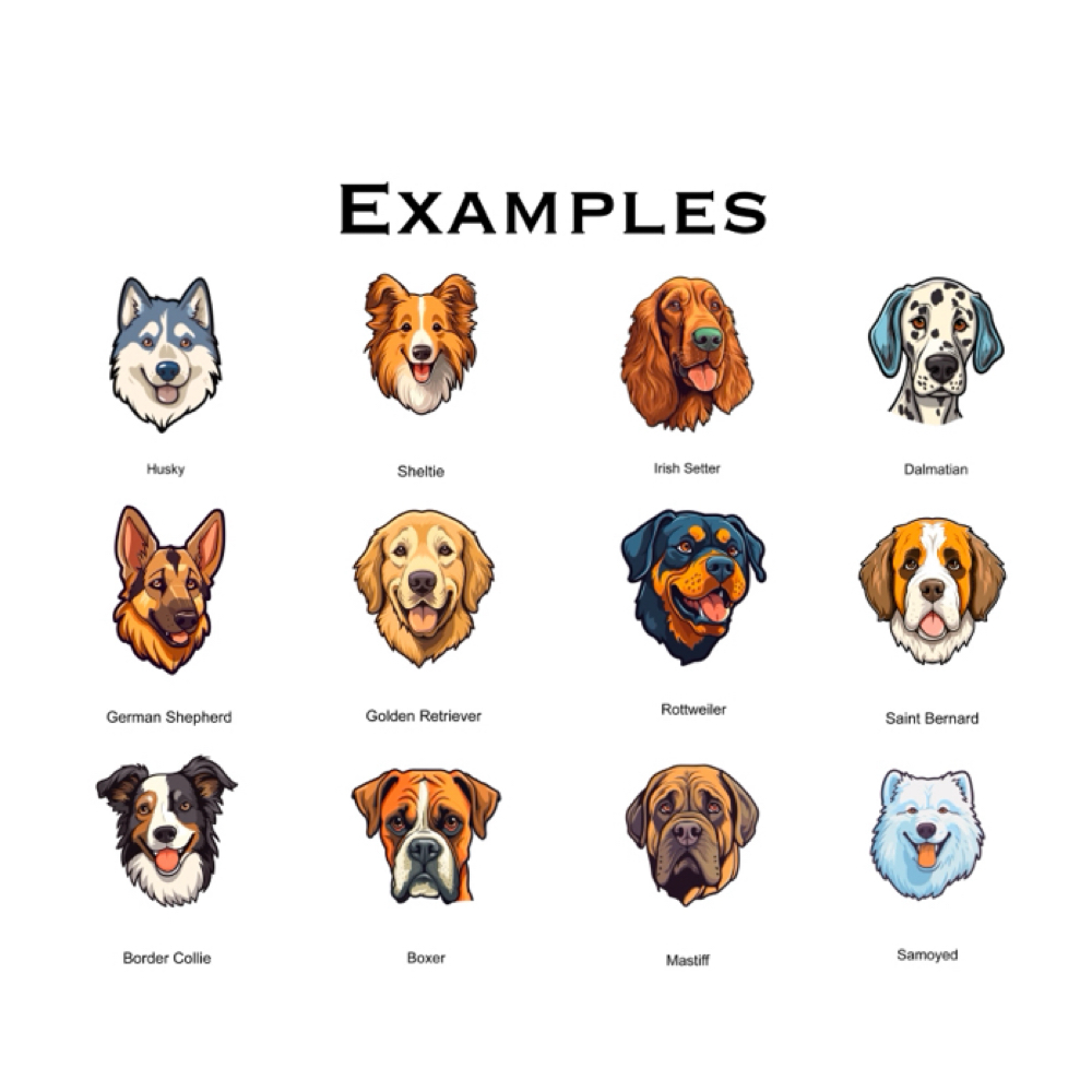 Large Bath (2nd Dog) at Houndstooth Grooming in Joliet, IL