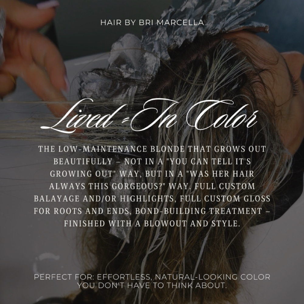Lived-in Dimensional Color Session at Hair by Bri Marcella @ The Main Attraction in Williamsville, NY