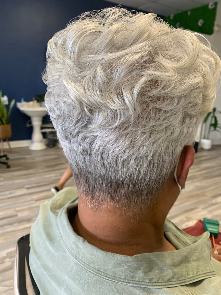 Grey Hair Shampoo + Style