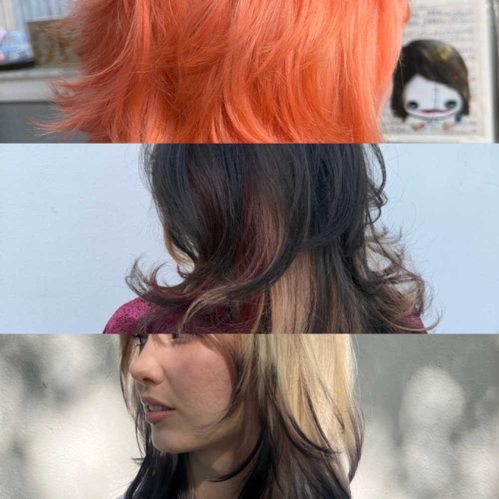 ☪︎ Returning Client Color at Cherry Pit Artistry in Altamonte Springs, FL