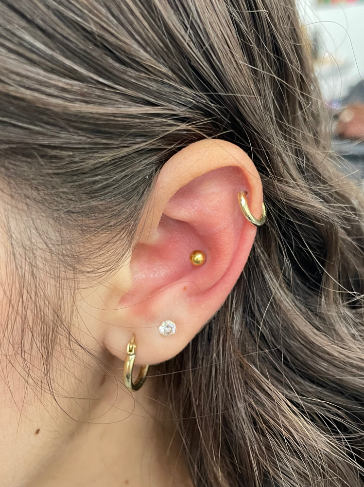 Conch Piercing