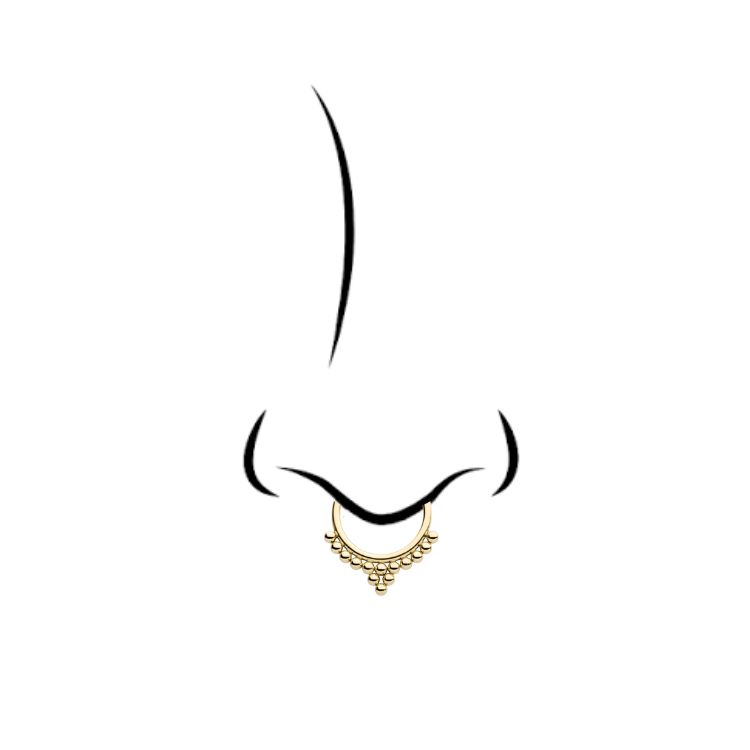 Septum (Jewelry Included)