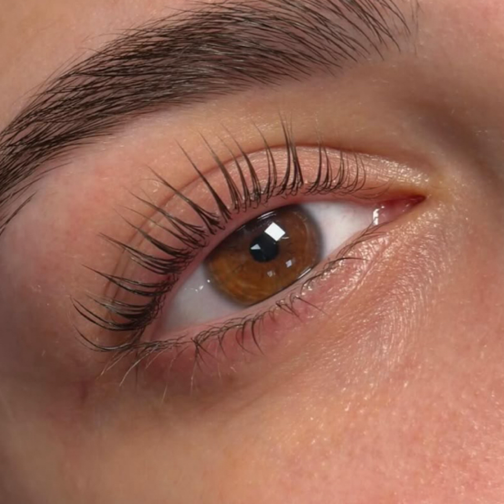 Lash Perm & Tint at The Lash Room SLC in West Valley City, UT