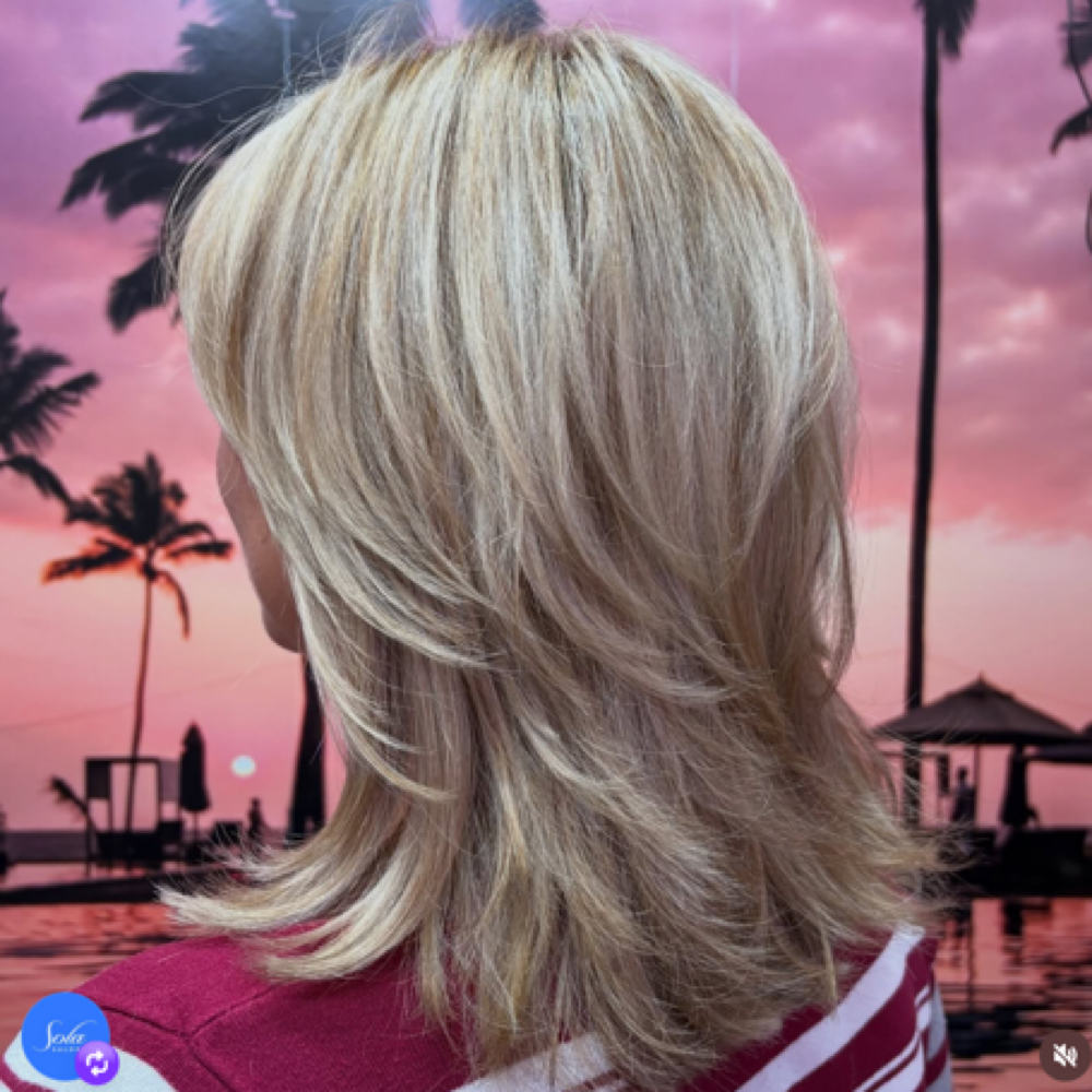 Single Process Retouch & Full HL at Hair Design By TIFFANY Rafalko in Clearwater, FL