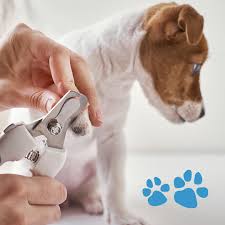 Nail Trim