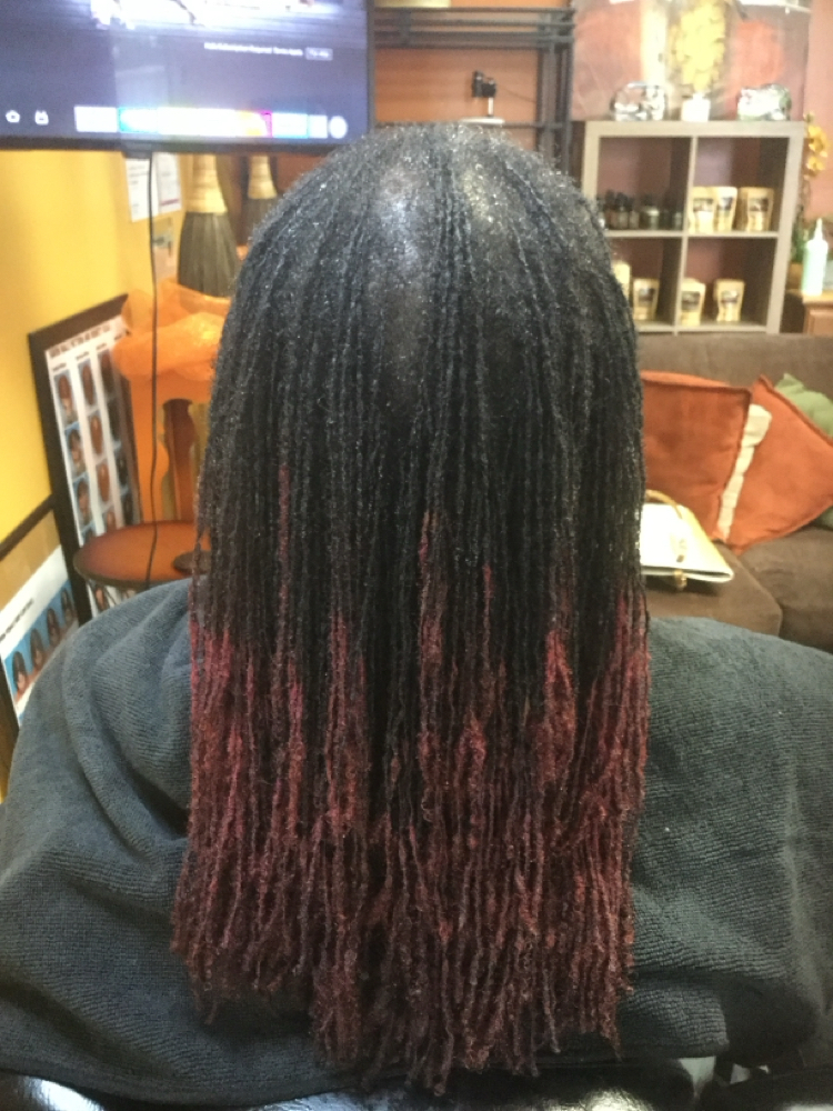 Microlocs 14-16 weeks No Style at U N I FOR HAIR LLC in North Charleston, SC