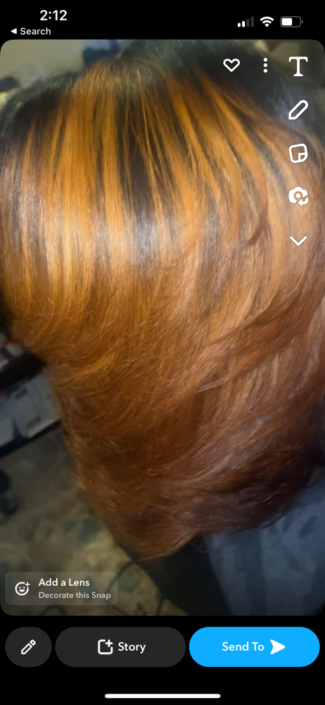 Hair Color  On natural Hair LONG