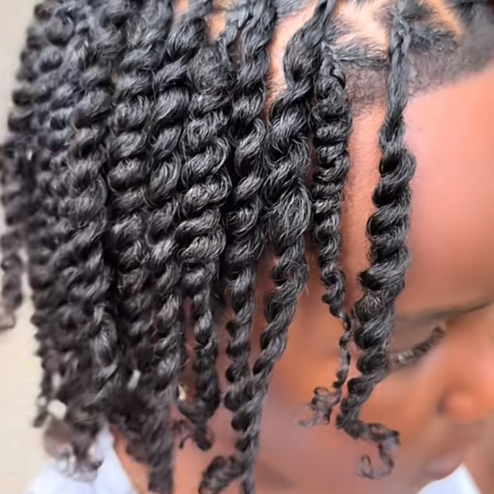 2 Strand Twists at Luxe Beauty NC in Charlotte, NC
