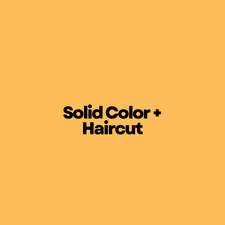 Solid Color + Haircut at Laura's Curl Studio in Turlock, CA