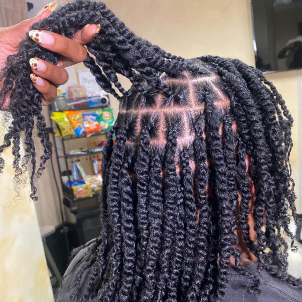 2 Strand Twist at Stylesby.anna in Los Angeles, CA