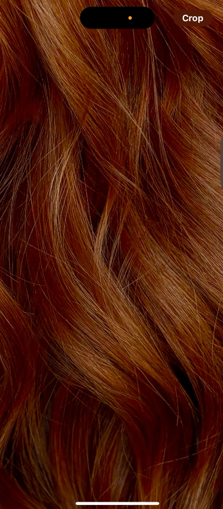 Color/ Haircut Consultation