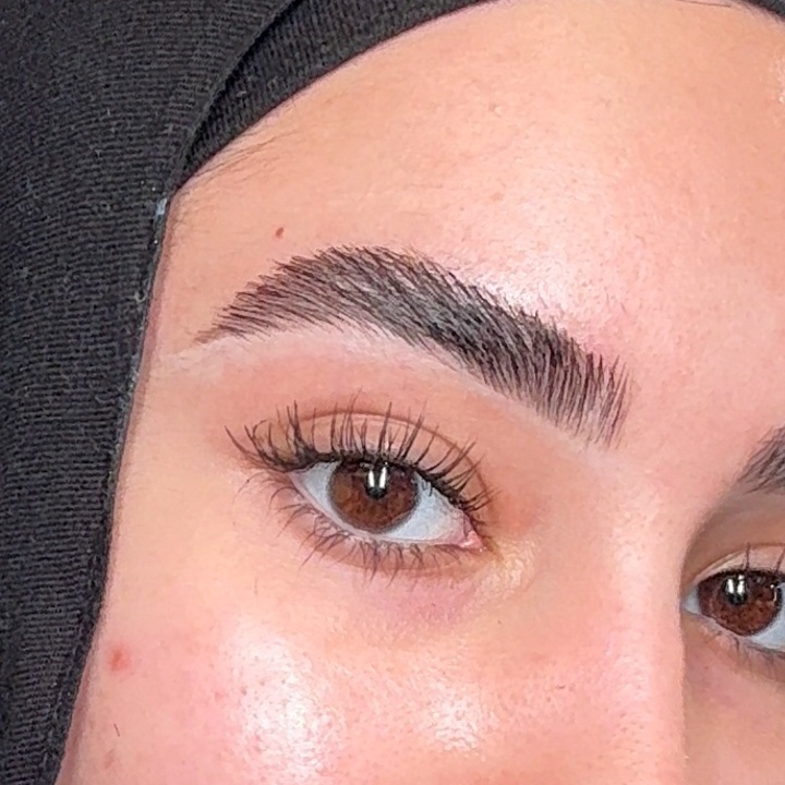 Natural Brow Tint at BeautyBySalena in Dearborn, MI