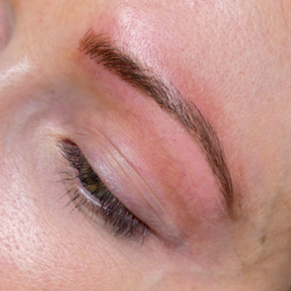 Combo/Ombre Brows at The Beautistry LLC in Knoxville, TN