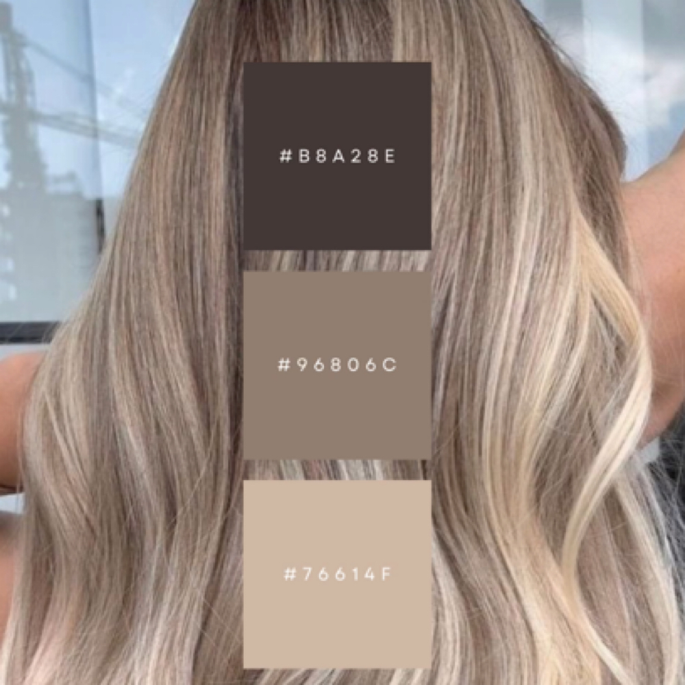 Color Melt Blow-dry at Palette House in Lake Mary, FL
