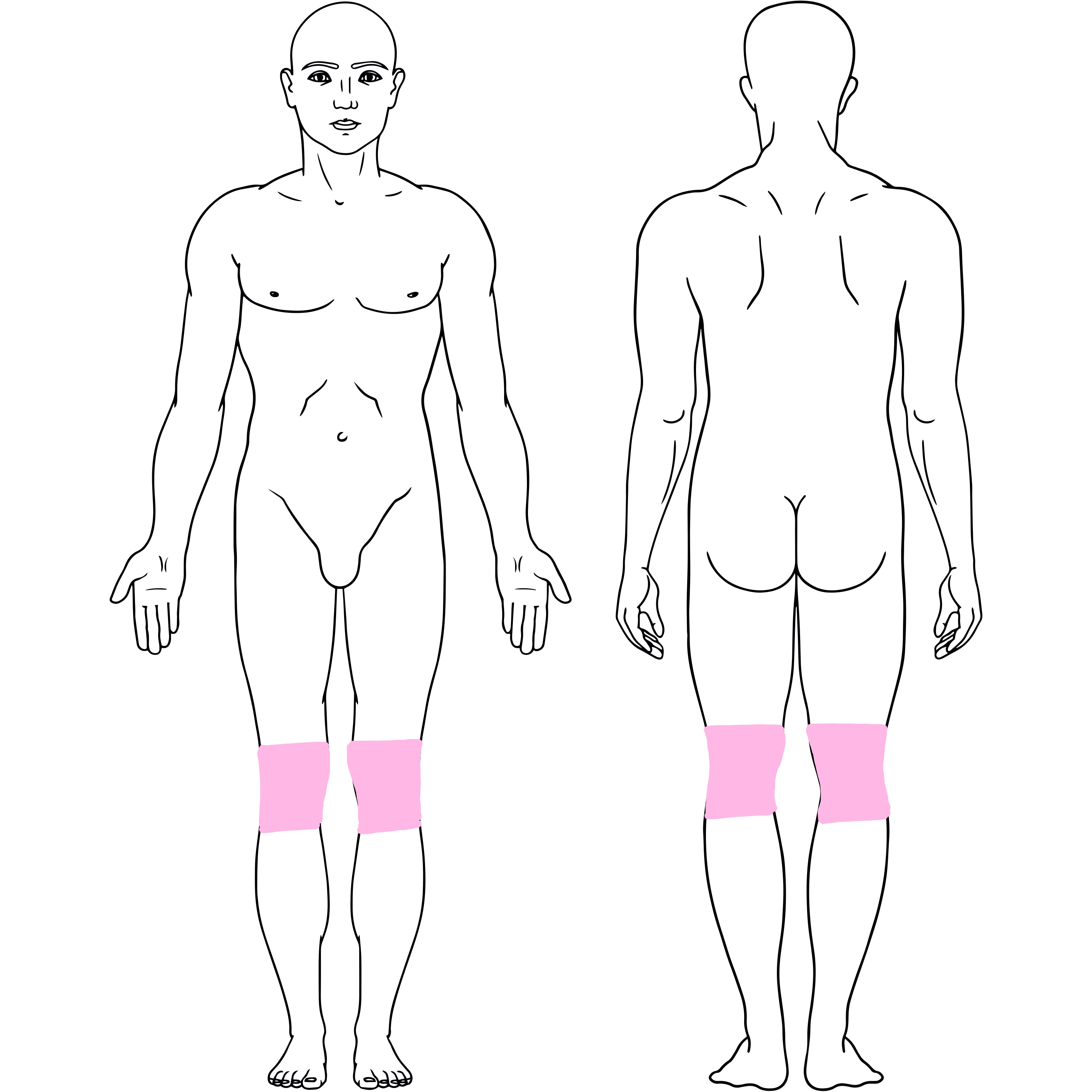 Knees