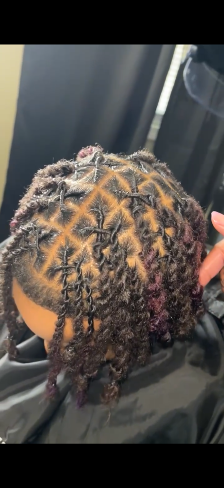 Kid Retwist & 2 Strand Twist/Plaits at Loc’d In With Dej in Fayetteville, NC