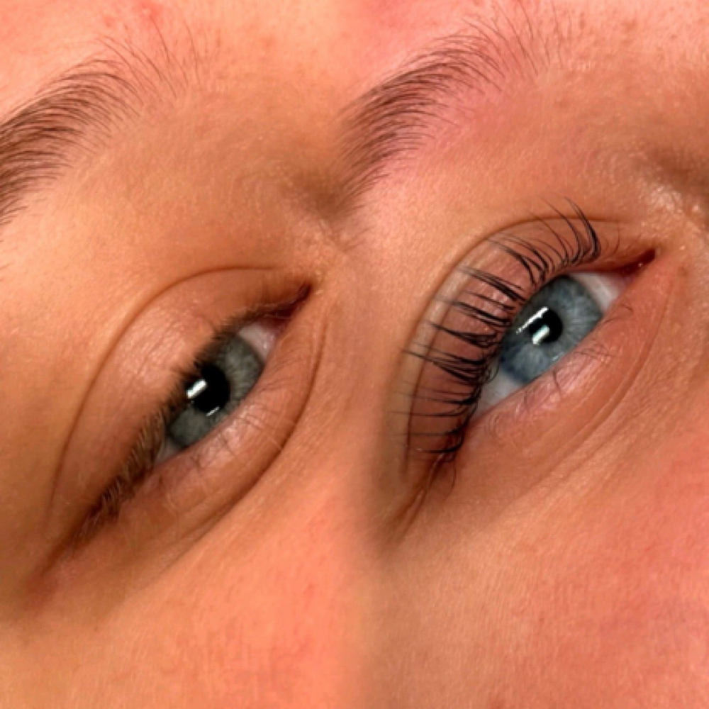 Korean Lash Lift + Tint at The Bare Edit in Arab, AL