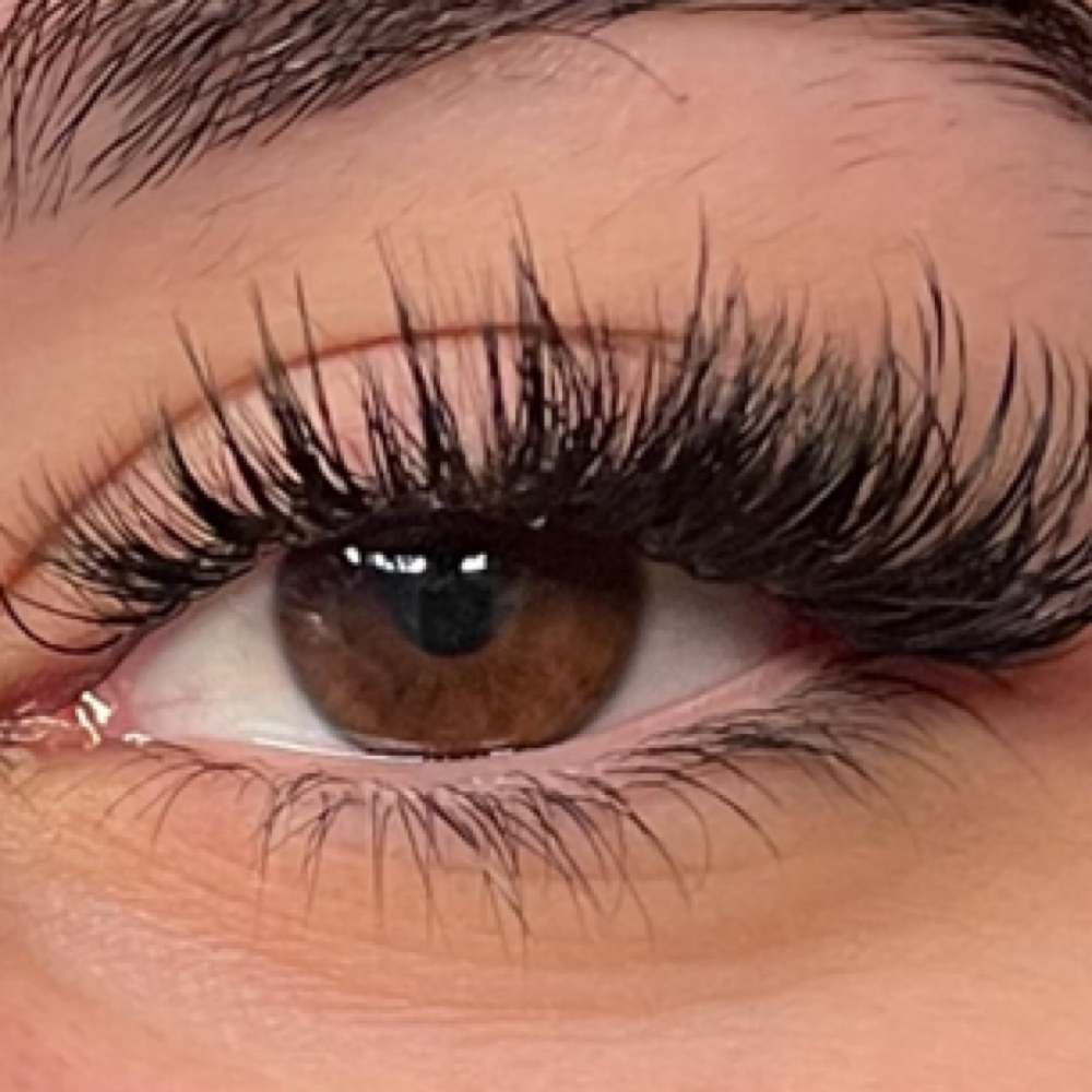 Signature Wispy Fill ( First Time ) at Lash Diva in Marina, CA