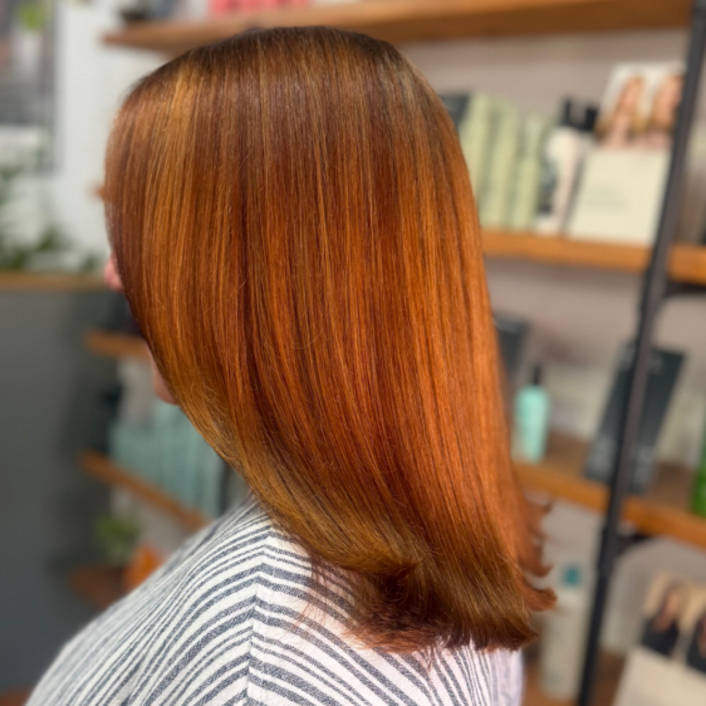 All Over Color + Styling at Bixa Hair Studio in San Antonio, TX