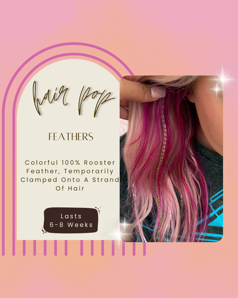 Hair Feathers at Colorful Cosmo in Fair Grove, MO